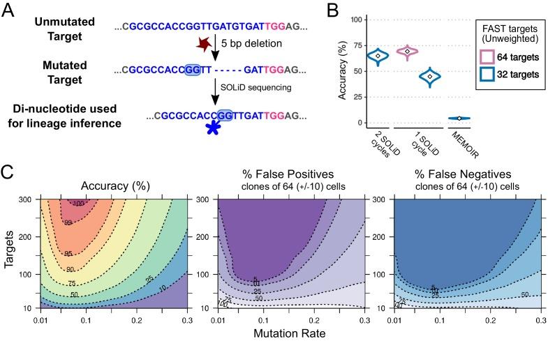 https://cdn.ncbi.nlm.nih.gov/pmc/blobs/e04b/6349403/7f9f8b9901d3/elife-40292-fig7.jpg