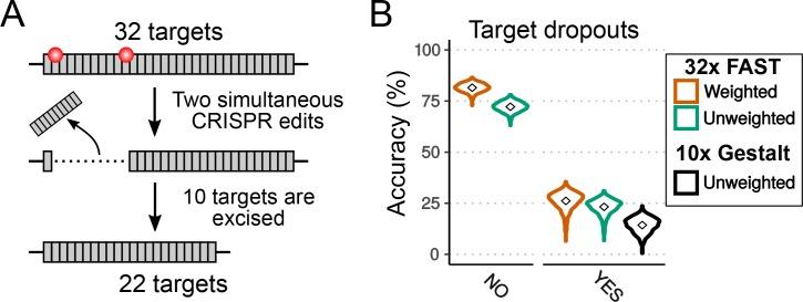 https://cdn.ncbi.nlm.nih.gov/pmc/blobs/e04b/6349403/e3e884252b9a/elife-40292-fig6.jpg