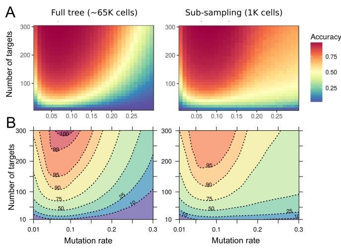 https://cdn.ncbi.nlm.nih.gov/pmc/blobs/e04b/6349403/f8673fed884a/elife-40292-fig7-figsupp2.jpg