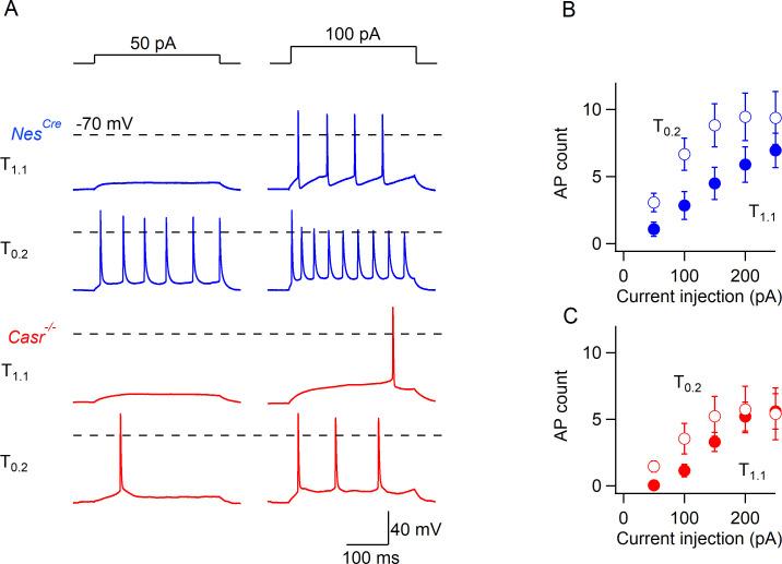 https://cdn.ncbi.nlm.nih.gov/pmc/blobs/e04b/8163501/21febc57cb07/elife-67914-fig1-figsupp2.jpg