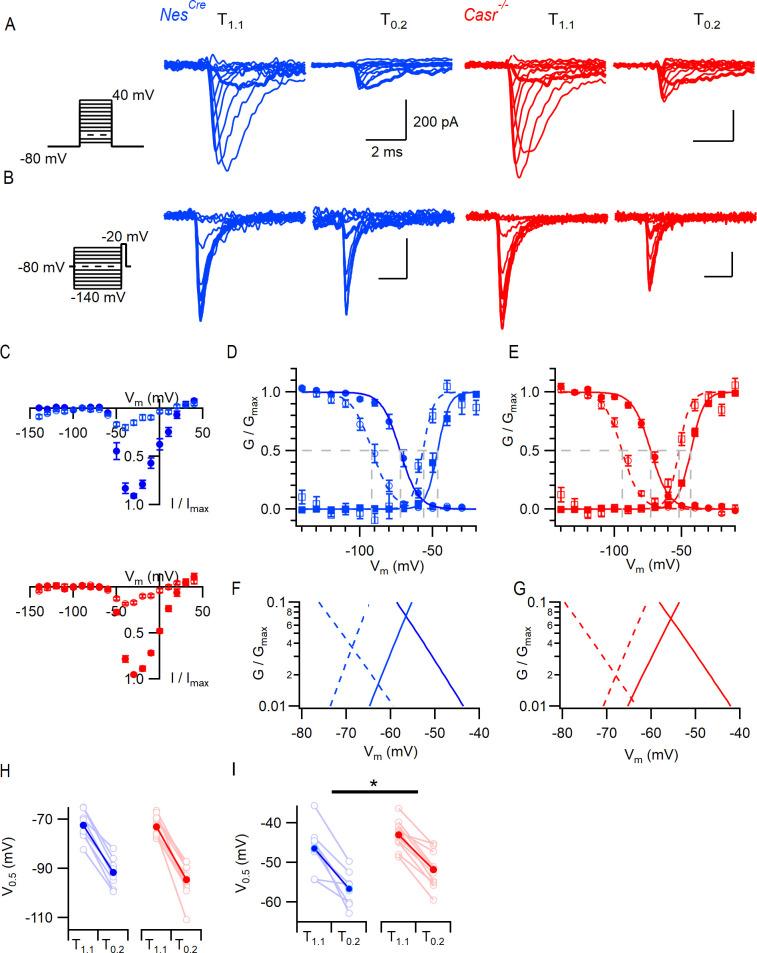 https://cdn.ncbi.nlm.nih.gov/pmc/blobs/e04b/8163501/255bfa4712a0/elife-67914-fig3.jpg