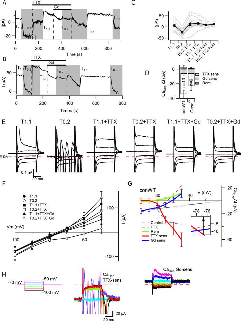 https://cdn.ncbi.nlm.nih.gov/pmc/blobs/e04b/8163501/8999bf3d7386/elife-67914-fig5.jpg
