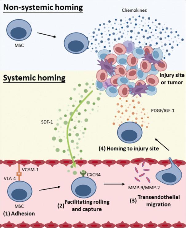https://cdn.ncbi.nlm.nih.gov/pmc/blobs/e04e/11483098/0d2a73f91075/TCMJ-36-349-g003.jpg