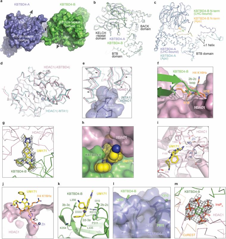 https://cdn.ncbi.nlm.nih.gov/pmc/blobs/e050/11882444/4713806835a0/41586_2024_8532_Fig12_ESM.jpg