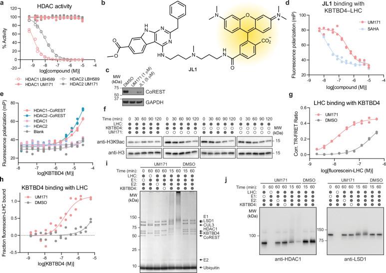 https://cdn.ncbi.nlm.nih.gov/pmc/blobs/e050/11882444/829e9502156d/41586_2024_8532_Fig8_ESM.jpg