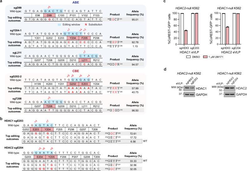 https://cdn.ncbi.nlm.nih.gov/pmc/blobs/e050/11882444/8a7f27c0979e/41586_2024_8532_Fig14_ESM.jpg