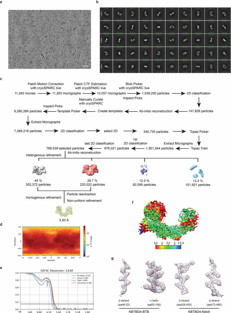 https://cdn.ncbi.nlm.nih.gov/pmc/blobs/e050/11882444/bf4787586719/41586_2024_8532_Fig10_ESM.jpg