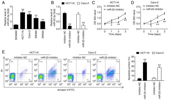 https://cdn.ncbi.nlm.nih.gov/pmc/blobs/e051/11450686/9e9aba75bddd/or-52-05-08812-g01.jpg