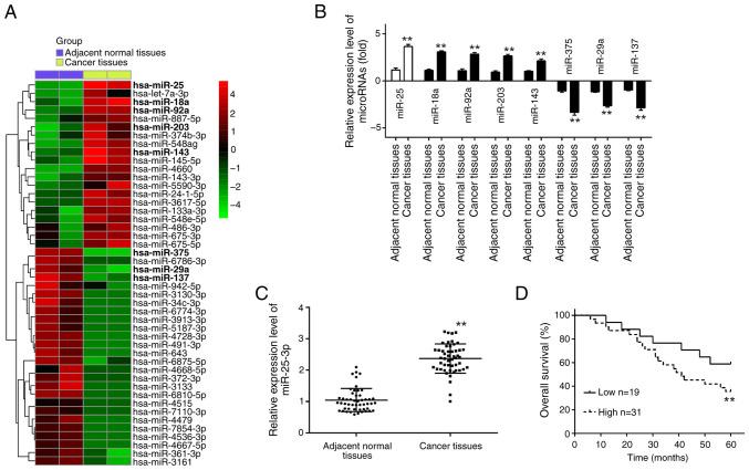 https://cdn.ncbi.nlm.nih.gov/pmc/blobs/e051/11450686/d38ac1f6c5a4/or-52-05-08812-g00.jpg