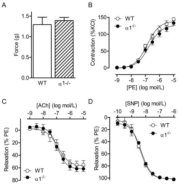 https://cdn.ncbi.nlm.nih.gov/pmc/blobs/e052/6165563/f6c8d17b9528/ijms-19-02753-g001.jpg