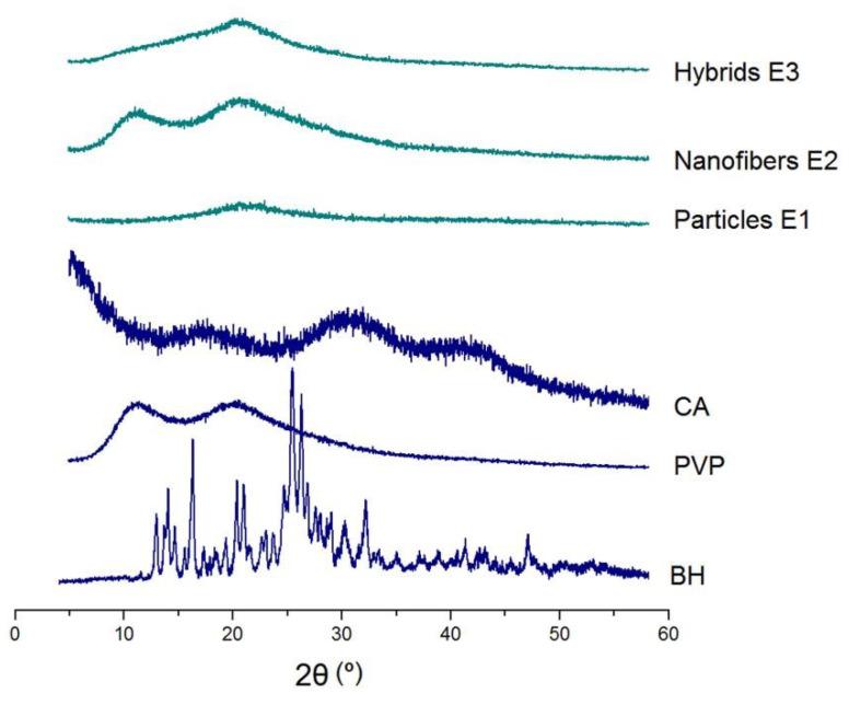https://cdn.ncbi.nlm.nih.gov/pmc/blobs/e054/10295831/76d038ea957c/biomolecules-13-01011-g006.jpg