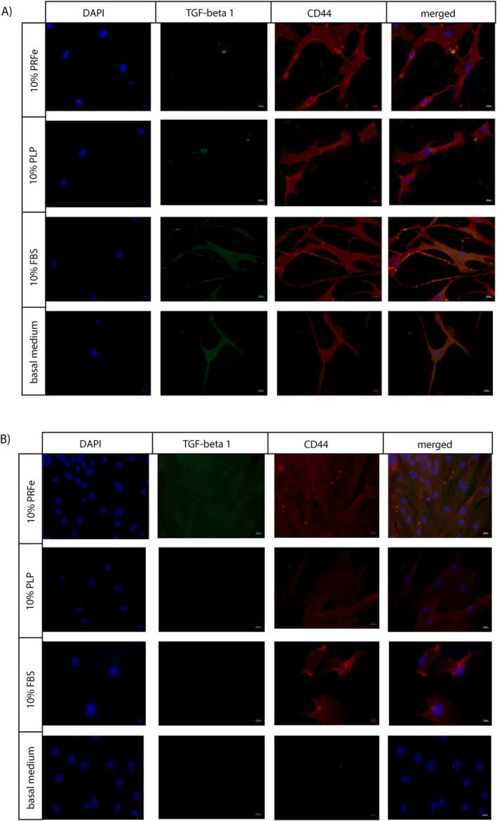 https://cdn.ncbi.nlm.nih.gov/pmc/blobs/e055/12093288/13cb7f07cc64/WRR-33-0-g001.jpg