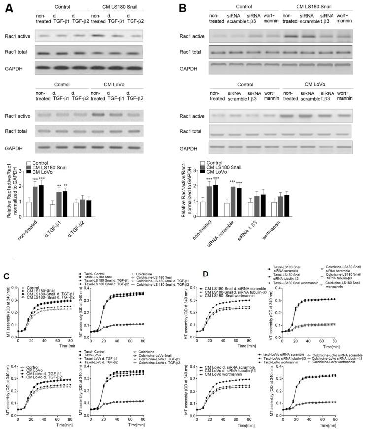 https://cdn.ncbi.nlm.nih.gov/pmc/blobs/e056/6337286/2983a076a417/ijms-20-00053-g005a.jpg