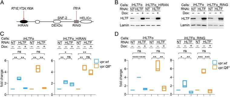 https://cdn.ncbi.nlm.nih.gov/pmc/blobs/e057/6511057/7baa74d7af29/pnas.1818401116fig04.jpg
