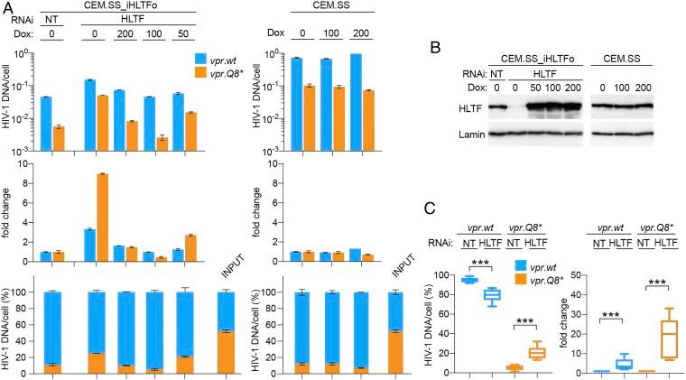 https://cdn.ncbi.nlm.nih.gov/pmc/blobs/e057/6511057/bc8a00b6b7f0/pnas.1818401116fig03.jpg