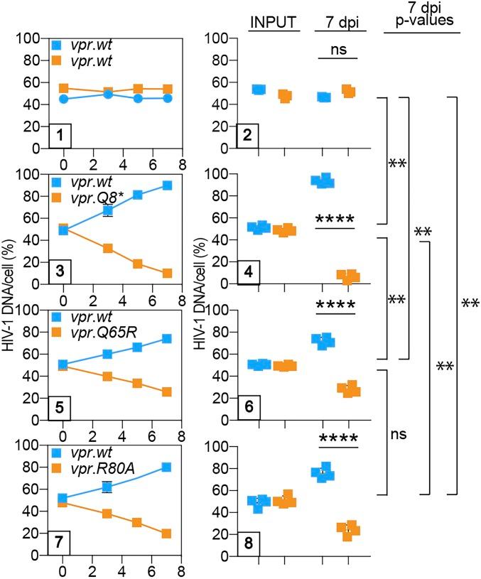 https://cdn.ncbi.nlm.nih.gov/pmc/blobs/e057/6511057/f65444231cd1/pnas.1818401116fig02.jpg