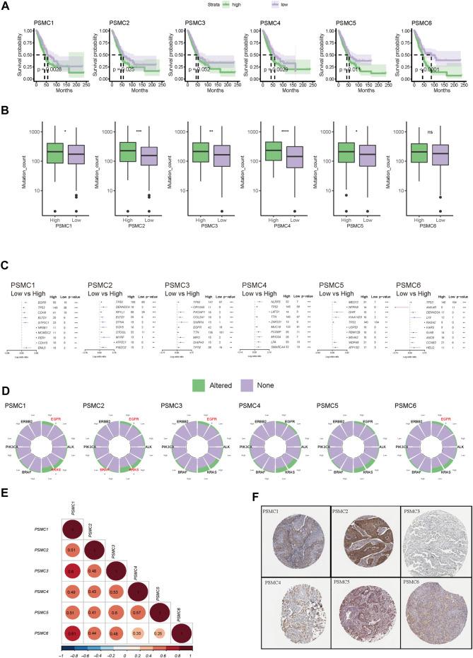 https://cdn.ncbi.nlm.nih.gov/pmc/blobs/e057/9868736/d1e00af86b46/fgene-13-1017866-g002.jpg