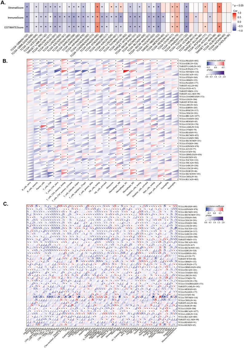https://cdn.ncbi.nlm.nih.gov/pmc/blobs/e058/11906416/85eae640780d/fimmu-16-1522293-g004.jpg