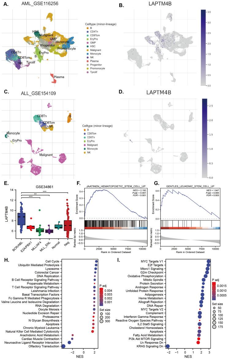 https://cdn.ncbi.nlm.nih.gov/pmc/blobs/e058/11906416/eb67e05394ff/fimmu-16-1522293-g006.jpg