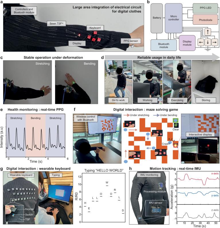 https://cdn.ncbi.nlm.nih.gov/pmc/blobs/e061/12064786/4e60b5229a5a/41467_2025_59703_Fig5_HTML.jpg