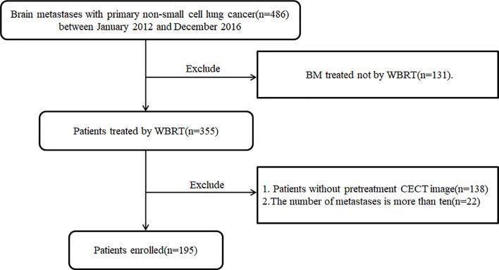 https://cdn.ncbi.nlm.nih.gov/pmc/blobs/e061/7905101/5f061d1d09d7/fonc-10-610691-g001.jpg