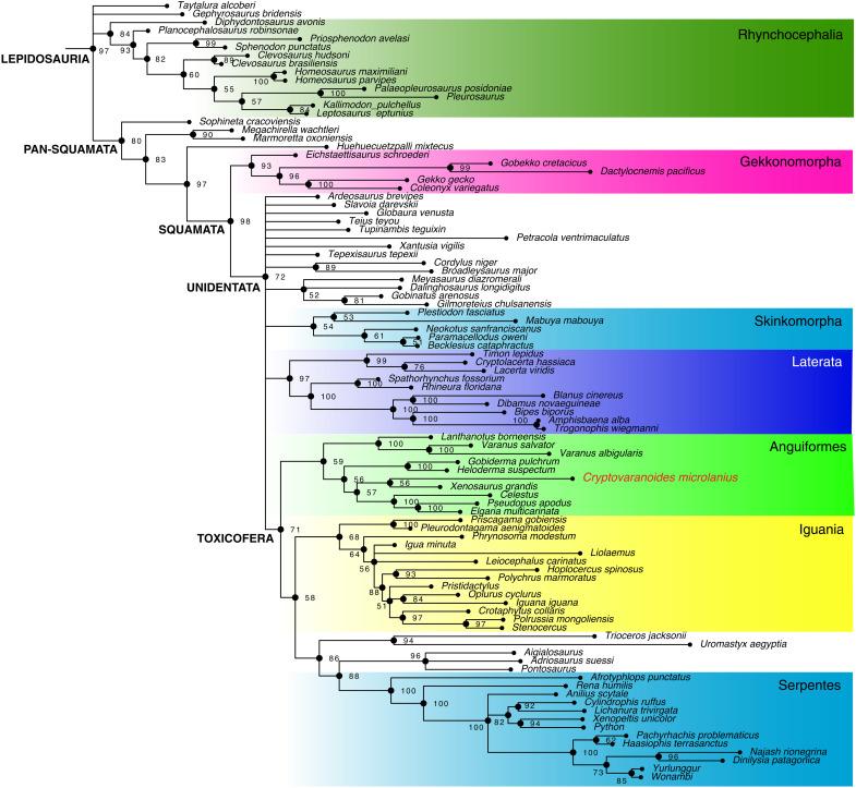 https://cdn.ncbi.nlm.nih.gov/pmc/blobs/e063/10936055/99b44a98c296/sciadv.abq8274-f8.jpg