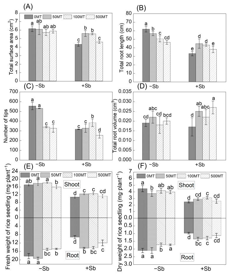 https://cdn.ncbi.nlm.nih.gov/pmc/blobs/e065/10669696/fc91a906012a/antioxidants-12-01917-g001.jpg
