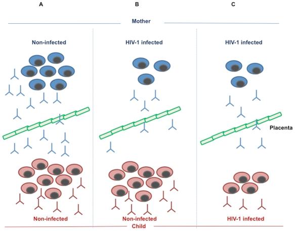 https://cdn.ncbi.nlm.nih.gov/pmc/blobs/e065/3037349/8aa191feff01/ppat.1001241.g001.jpg
