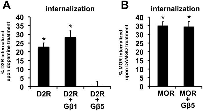 https://cdn.ncbi.nlm.nih.gov/pmc/blobs/e066/4146516/2c26a99362ea/pone.0105791.g006.jpg