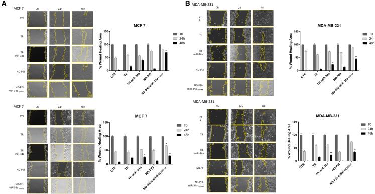 https://cdn.ncbi.nlm.nih.gov/pmc/blobs/e067/10336355/2f03ebe74886/gr5.jpg