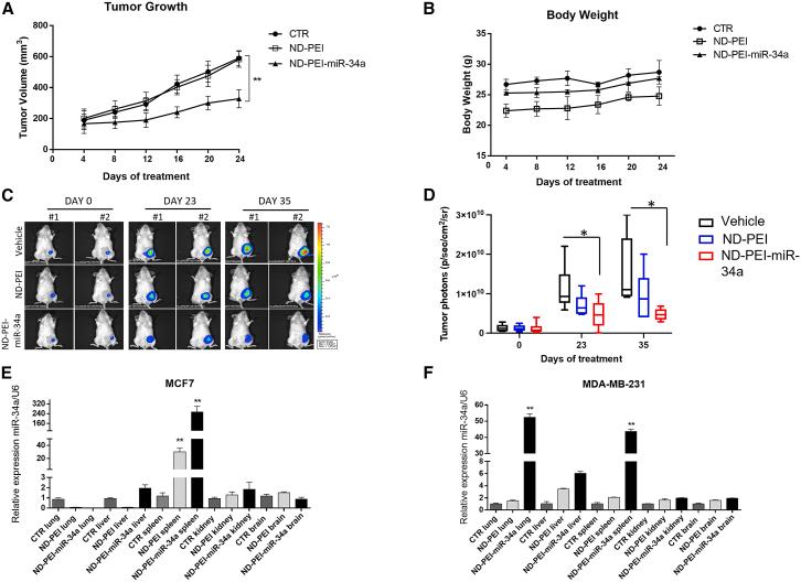 https://cdn.ncbi.nlm.nih.gov/pmc/blobs/e067/10336355/3259cdee7475/gr6.jpg