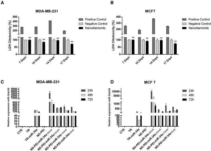 https://cdn.ncbi.nlm.nih.gov/pmc/blobs/e067/10336355/37f870f2cf80/gr1.jpg