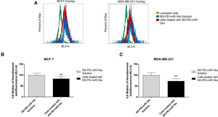 https://cdn.ncbi.nlm.nih.gov/pmc/blobs/e067/10336355/7383928e8541/gr2.jpg