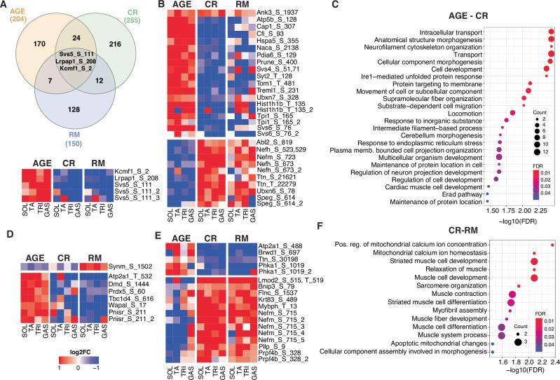 https://cdn.ncbi.nlm.nih.gov/pmc/blobs/e06a/11316767/b3a4780cc4b1/42003_2024_6679_Fig4_HTML.jpg