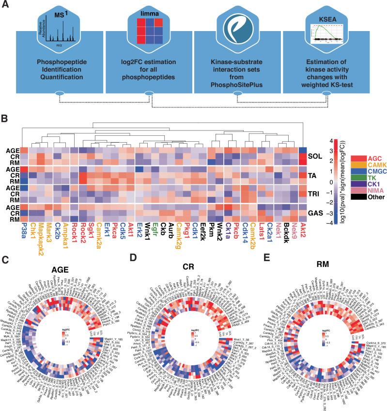 https://cdn.ncbi.nlm.nih.gov/pmc/blobs/e06a/11316767/b7ca09b1b55c/42003_2024_6679_Fig5_HTML.jpg