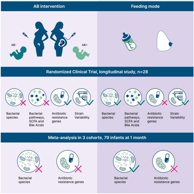 https://cdn.ncbi.nlm.nih.gov/pmc/blobs/e06c/11335186/a52447ea4bbe/fx1.jpg