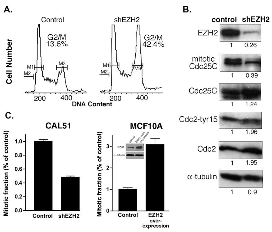https://cdn.ncbi.nlm.nih.gov/pmc/blobs/e06c/2643353/d6738c5023b2/nihms76277f3.jpg