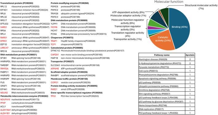 https://cdn.ncbi.nlm.nih.gov/pmc/blobs/e06d/12076276/066161ea7417/JNC-169-0-g004.jpg