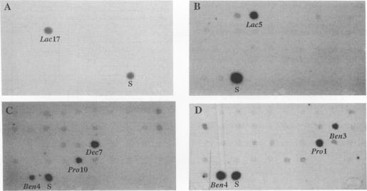 https://cdn.ncbi.nlm.nih.gov/pmc/blobs/e06e/183142/a852ace78e80/aem00052-0117-a.jpg