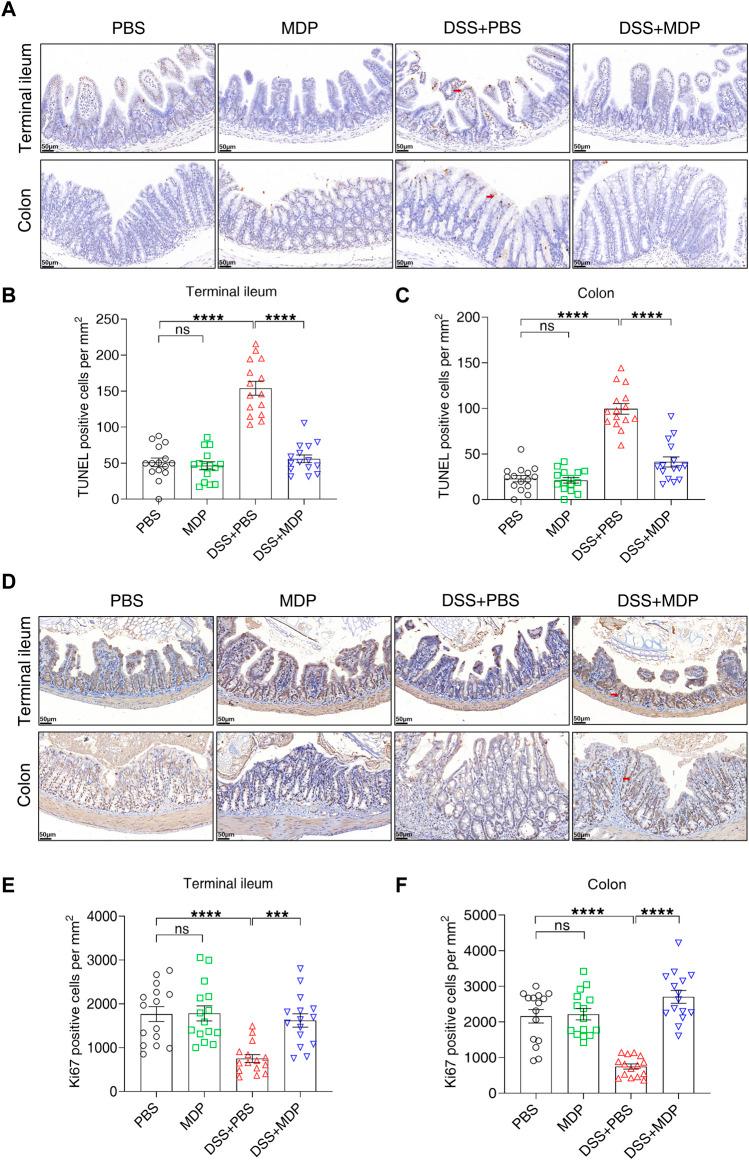 https://cdn.ncbi.nlm.nih.gov/pmc/blobs/e06e/9727138/f30270827785/fphar-13-1052644-g004.jpg