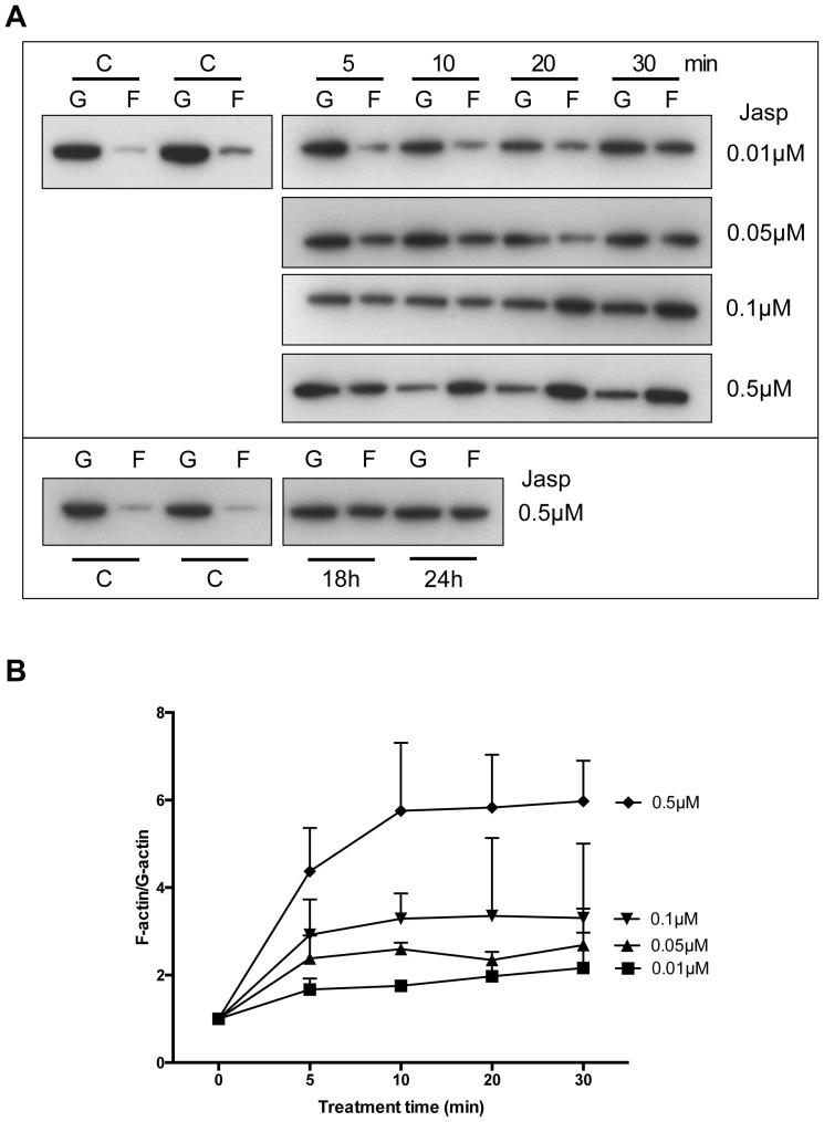 https://cdn.ncbi.nlm.nih.gov/pmc/blobs/e070/3770699/89a830b8f0a7/pone.0073763.g001.jpg