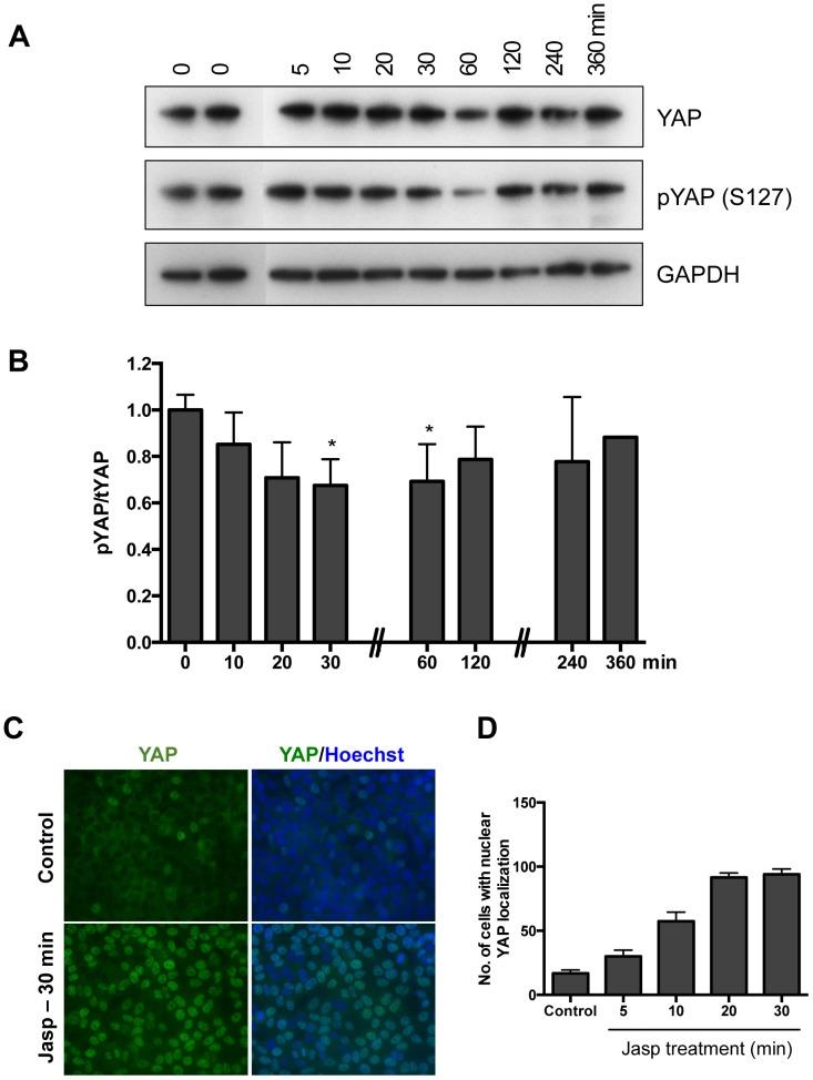 https://cdn.ncbi.nlm.nih.gov/pmc/blobs/e070/3770699/969a1782936c/pone.0073763.g002.jpg