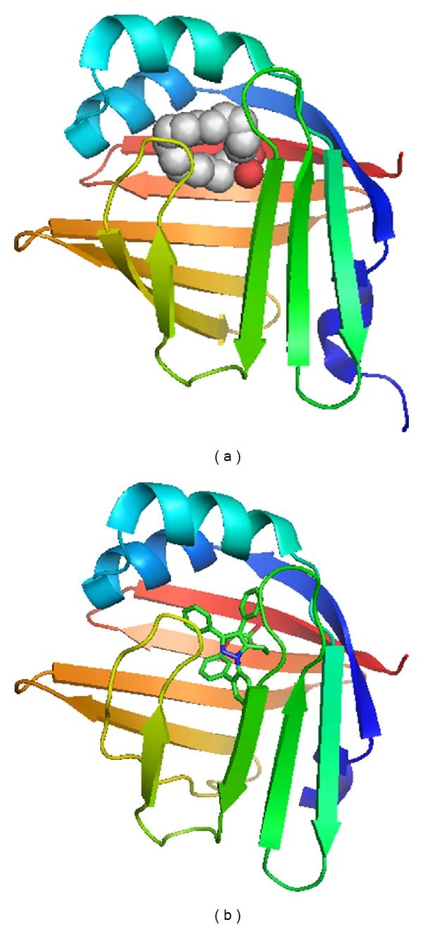https://cdn.ncbi.nlm.nih.gov/pmc/blobs/e072/3206330/5ed585b16868/IJI2011-642612.002.jpg