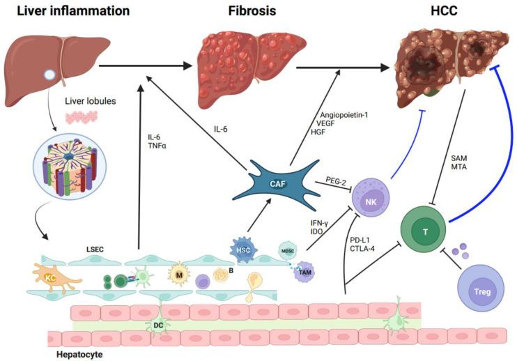 https://cdn.ncbi.nlm.nih.gov/pmc/blobs/e073/10605632/6fa71dfb5357/cancers-15-05046-g001.jpg