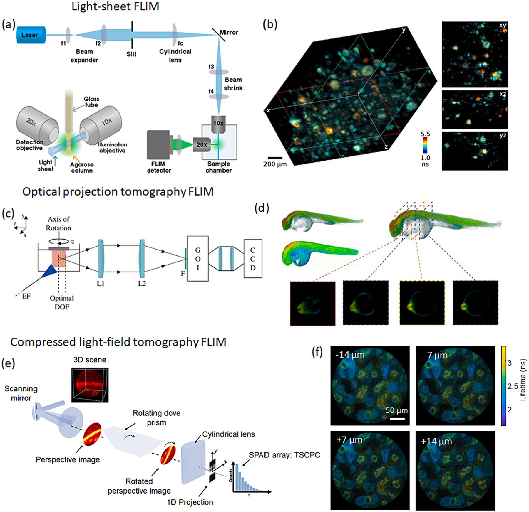 https://cdn.ncbi.nlm.nih.gov/pmc/blobs/e073/11290093/f947f463be91/nihms-1995205-f0004.jpg
