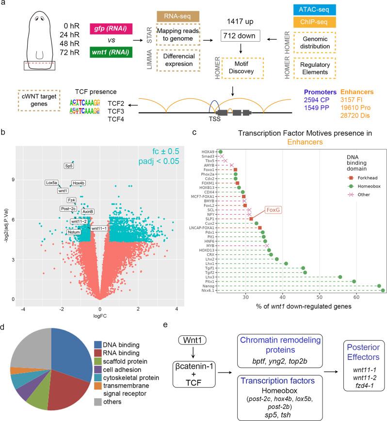 https://cdn.ncbi.nlm.nih.gov/pmc/blobs/e073/9849279/5e2e76325f4b/41467_2023_35937_Fig2_HTML.jpg