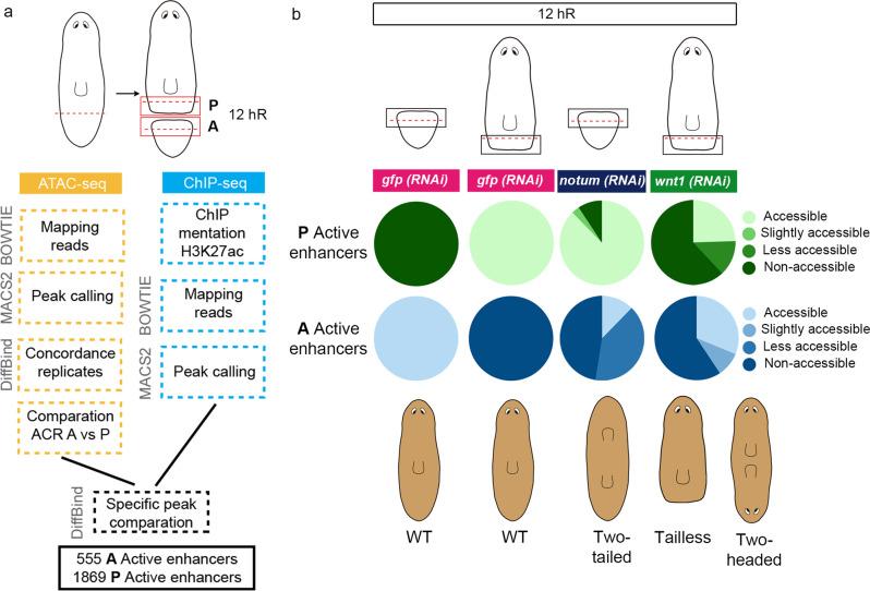 https://cdn.ncbi.nlm.nih.gov/pmc/blobs/e073/9849279/6a95207013e9/41467_2023_35937_Fig1_HTML.jpg