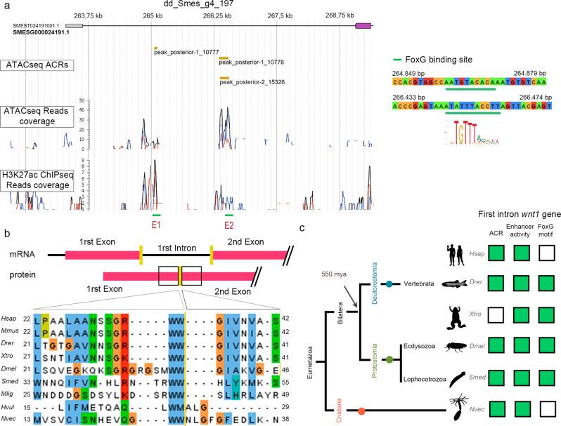 https://cdn.ncbi.nlm.nih.gov/pmc/blobs/e073/9849279/a2f25d229c25/41467_2023_35937_Fig3_HTML.jpg