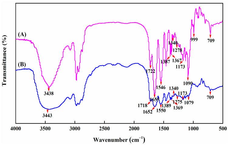 https://cdn.ncbi.nlm.nih.gov/pmc/blobs/e075/8912095/8e72430c92b1/molecules-27-01686-g002.jpg