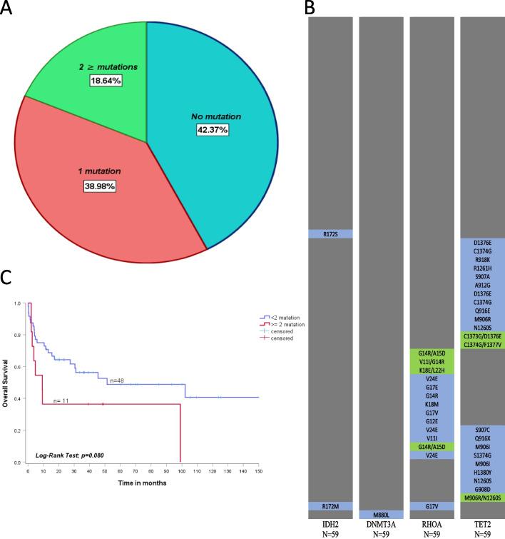 https://cdn.ncbi.nlm.nih.gov/pmc/blobs/e075/9764541/74cbda85ea4c/13148_2022_1395_Fig1_HTML.jpg